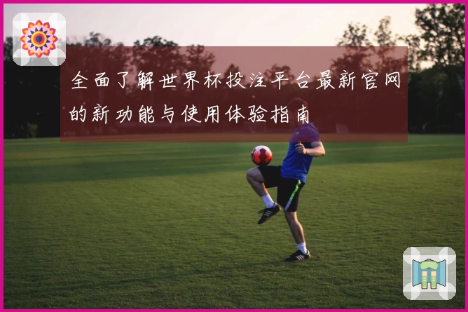 全面了解世界杯投注平台最新官网的新功能与使用体验指南