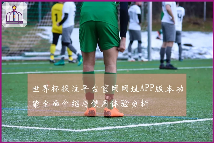 世界杯投注平台官网网址APP版本功能全面介绍与使用体验分析