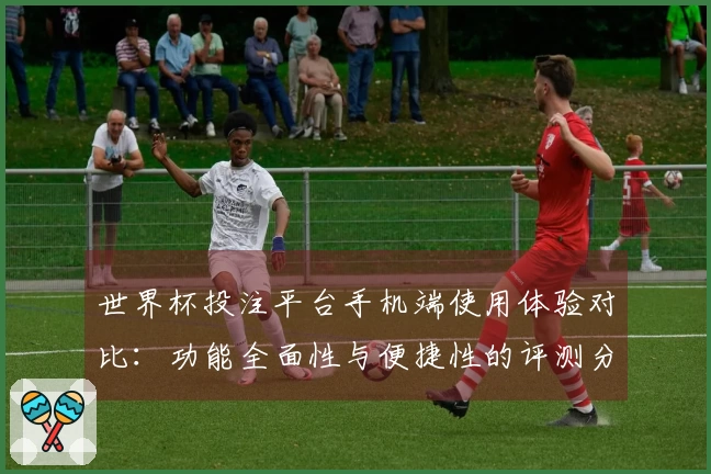 世界杯投注平台手机端使用体验对比：功能全面性与便捷性的评测分析