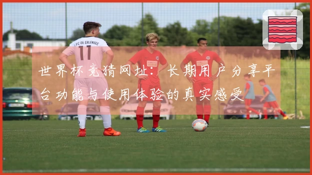 世界杯竞猜网址：长期用户分享平台功能与使用体验的真实感受