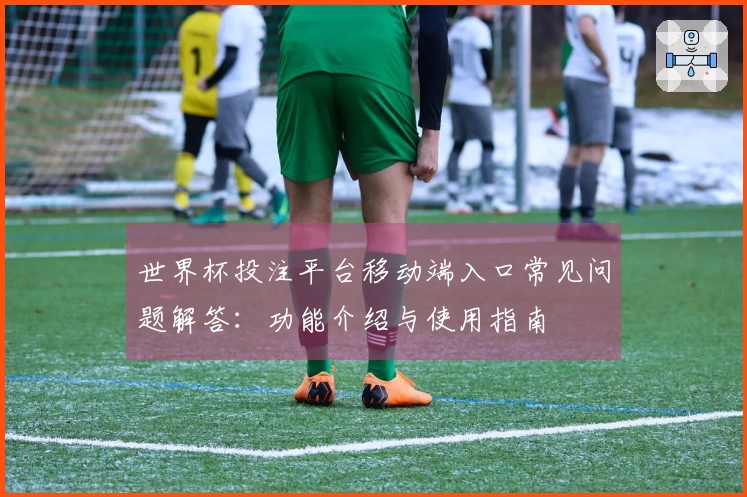 世界杯投注平台移动端入口常见问题解答：功能介绍与使用指南