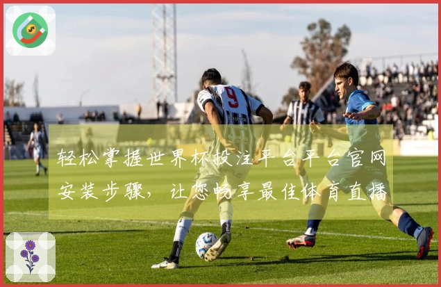 轻松掌握世界杯投注平台平台官网安装步骤，让您畅享最佳体育直播体验