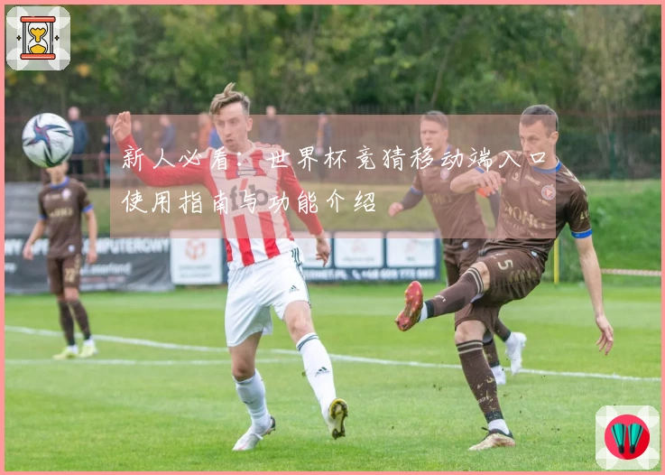新人必看：世界杯竞猜移动端入口使用指南与功能介绍